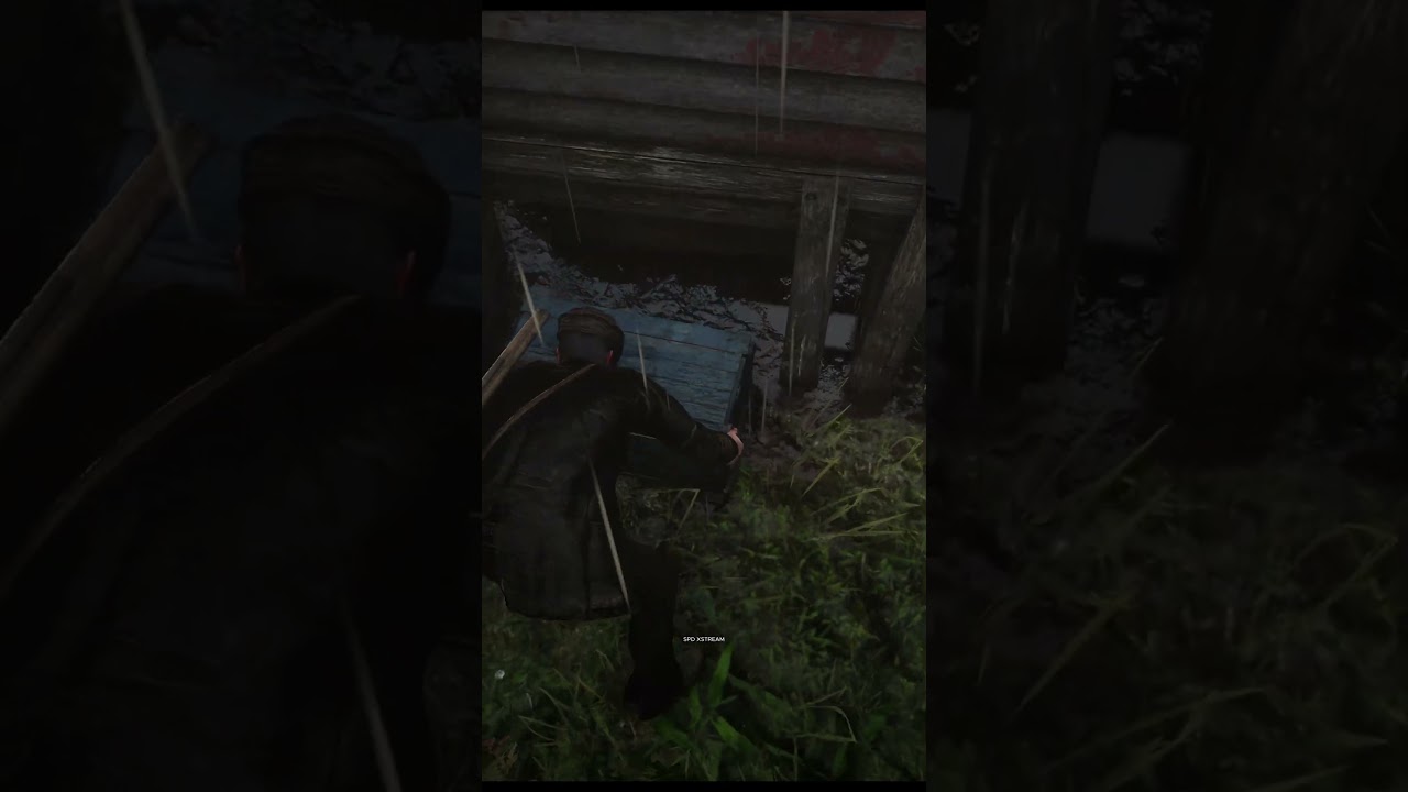 Catfish Jacksons Secret Chest Box Location In Rdr2 #shorts #spdxstreamgaming #rdr2