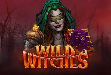 Wild Witches