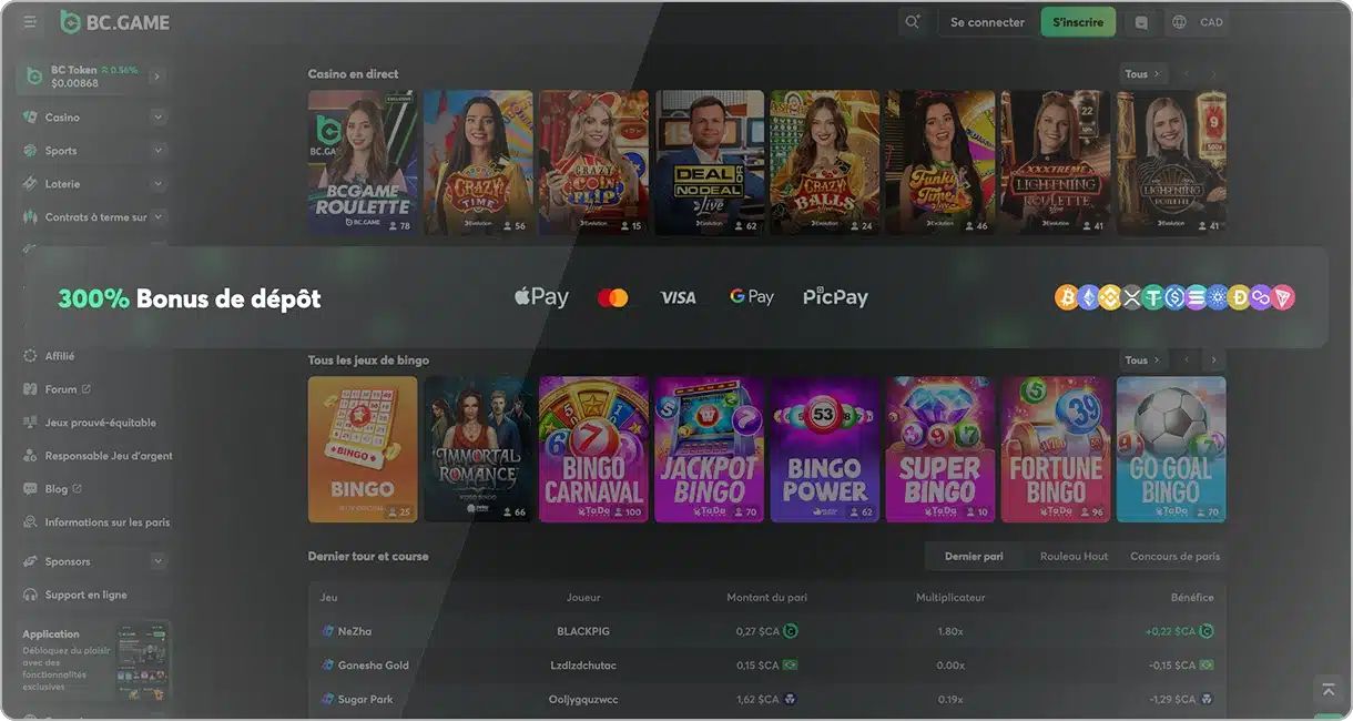 Illustration des méthodes de dépôt de BC.Game