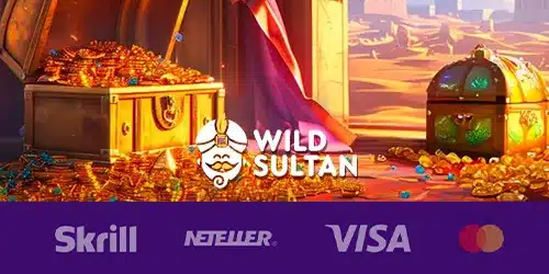 Paiements Wildsultan casino