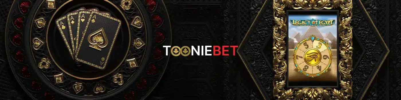 Jouer sur le casino Tooniebet