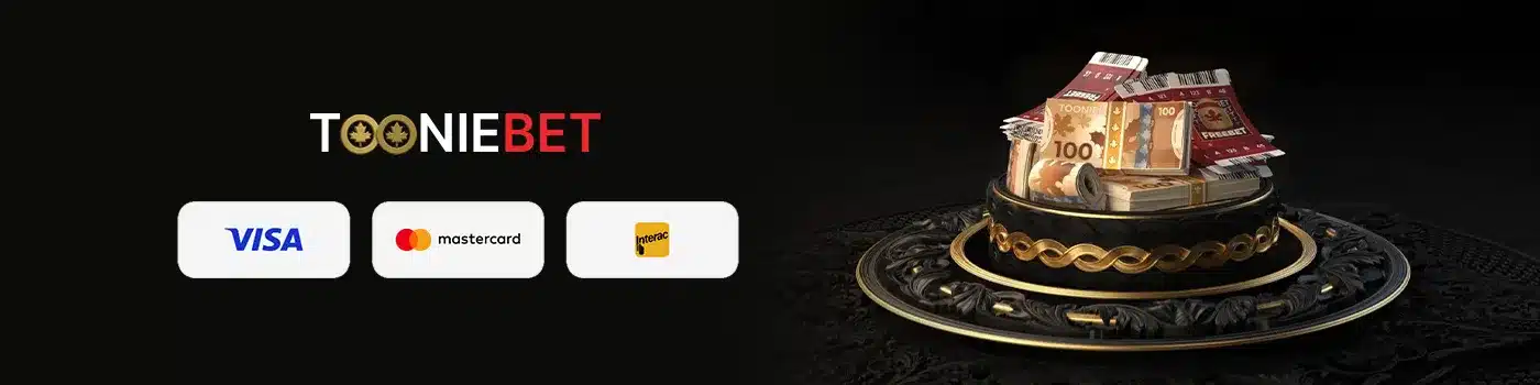 Les méthodes de paiement disponibles sur Tooniebet Casino