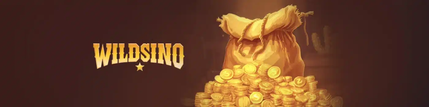 moyens de paiement sur Wildsino