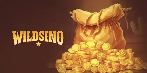 moyens de paiement sur Wildsino