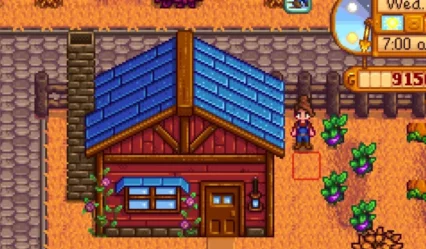 extension Stardew Valley